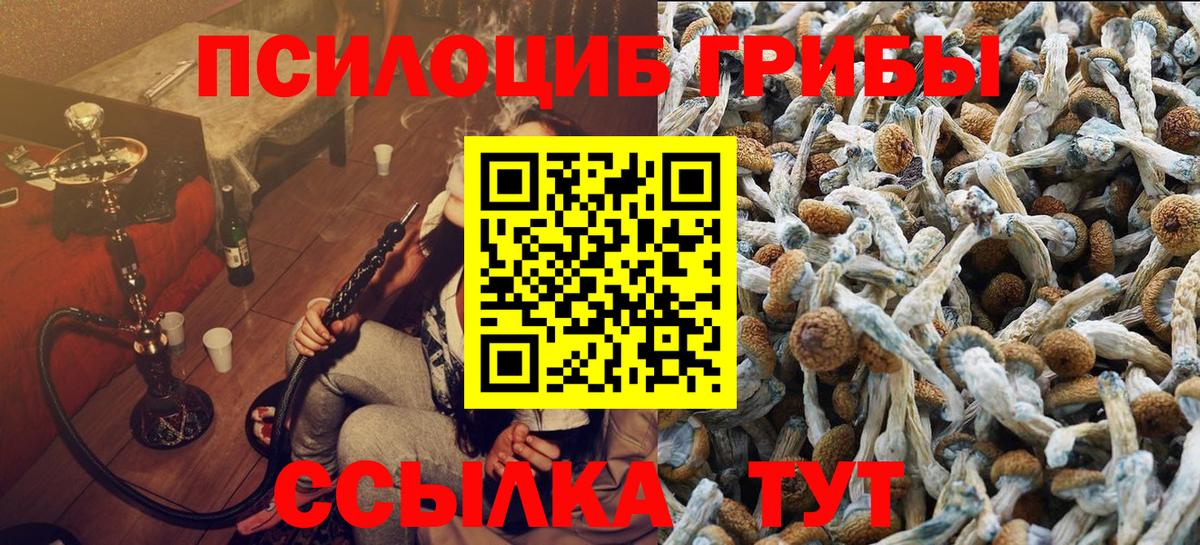 Жуковский  Псилоцибиновые грибы Cubensis  Галлюциногенные грибы Psilocybe  Вход с VPN 